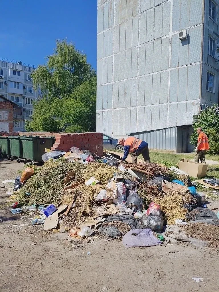 ⚡️В Ейске продолжается уборка приконтейнерных площадок и покос травы  Также убирают от мусора общест