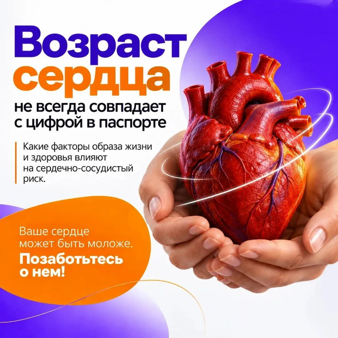 Нынешняя неделя посвящена ответственному отношению к сердцу в честь Всемирного дня серд...