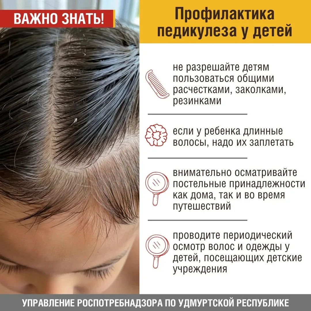 Педикулез – заразное заболевание, вызываемое паразитированием на теле человека вшей – м...