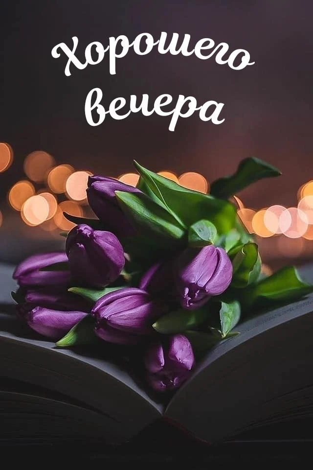 #хорошеговечера