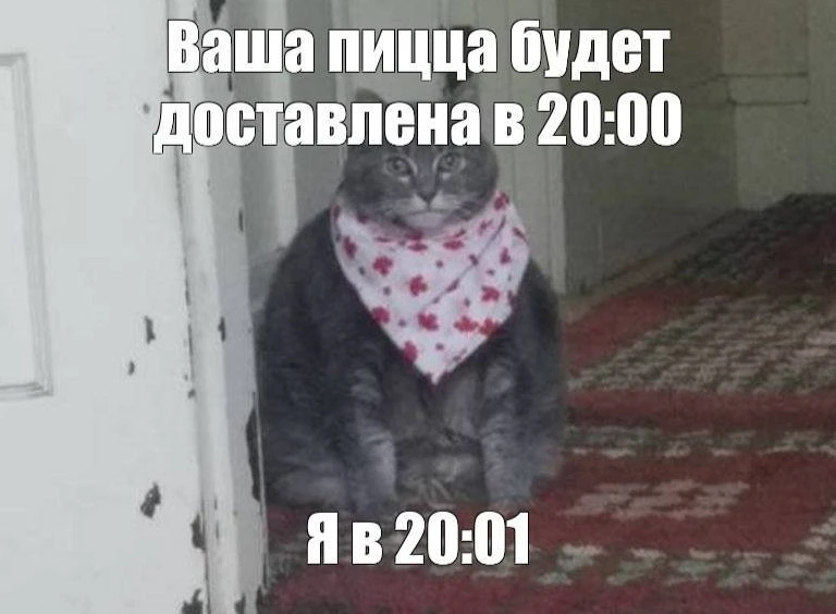 Россияне обленились и больше не хотят готовить: спрос на готовую еду в стране вырастет ...
