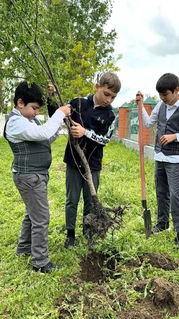 🌳🌼Маленькие ручки с большим энтузиазмом! 👦👧Сегодня наши юные садоводы из 5 «Г» клас...