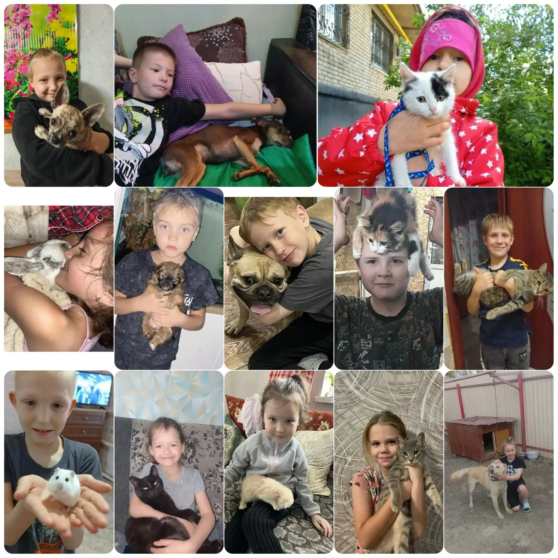 🐾 4 октября — Всемирный день защиты животных! 🐾