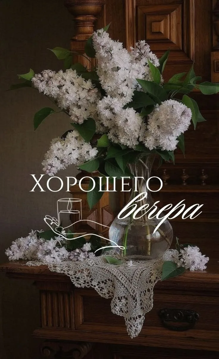 Поздравления для Настроения💌