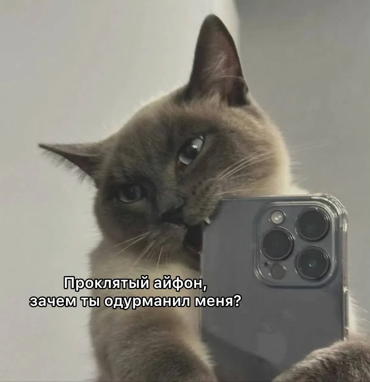 В Госдуме призывают россиян отказаться от iPhone из-за риска дистанционной блокировки.