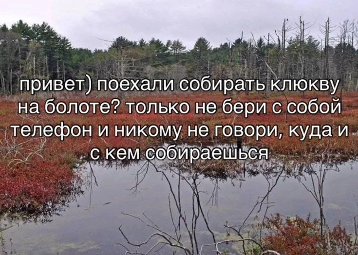 Это твой 😂 Злой юмор. Подключайся!