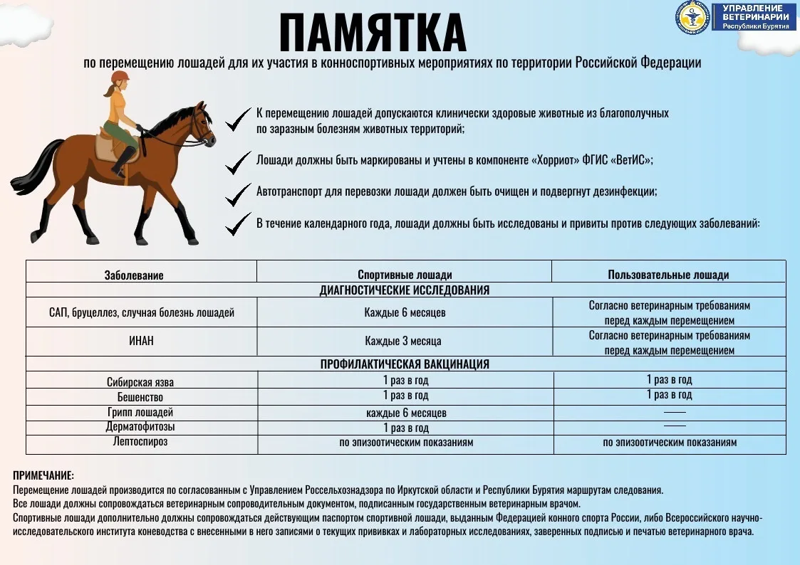 ❗️Напоминаем, для участия лошадей в конно-спортивных мероприятиях необходимо соблюдение...