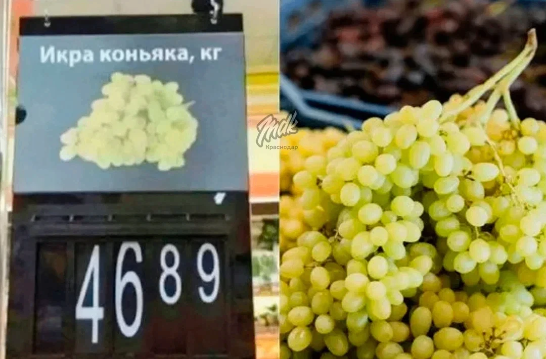 Кубанским виноделам обещают урожай мечты