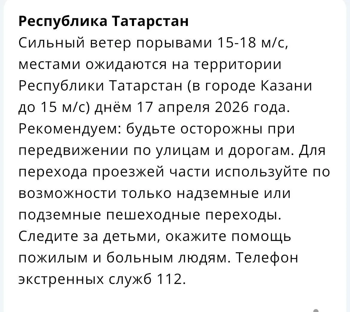 ❗️ МЧС предупреждает жителей республики о сильном ветре