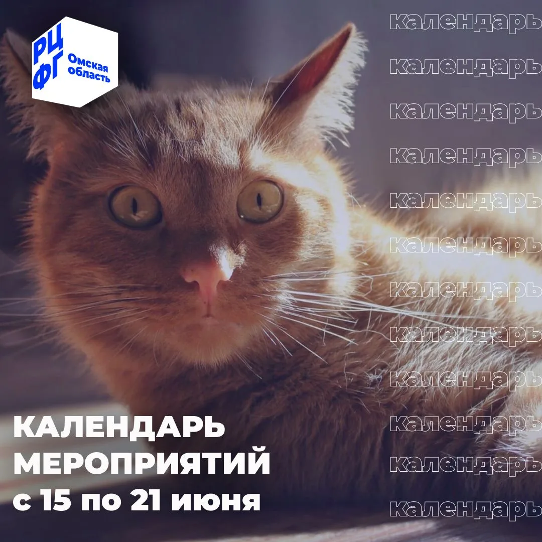 Календарь мероприятий по финграмотности c 15 по 21 июня 2026
15 июня — Онлайн-лекция «Первый урок фи