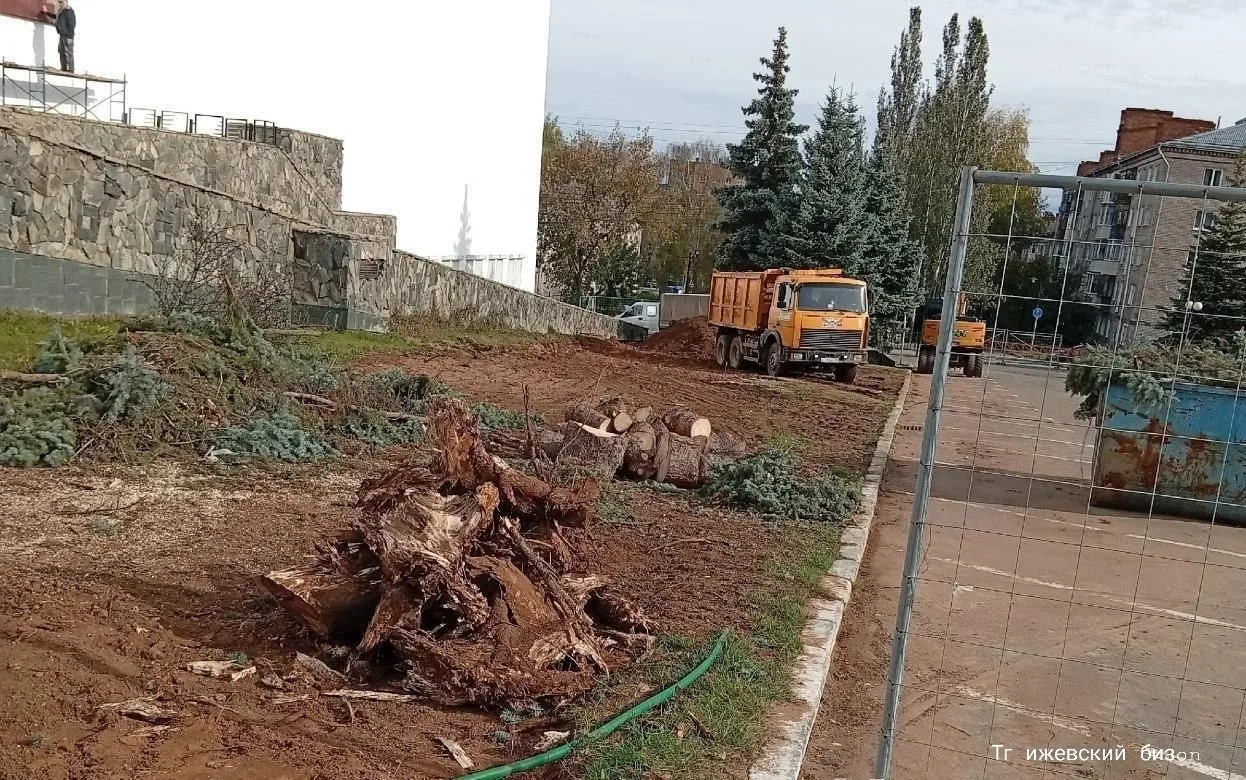 🌲 В Ижевске у здания Госсовета спилили голубые ели