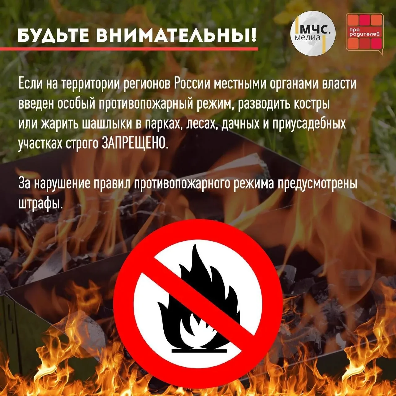 🌿Безопасные майские праздники!  Майские праздники уже на пороге, а это значит, что скоро нас ждут до