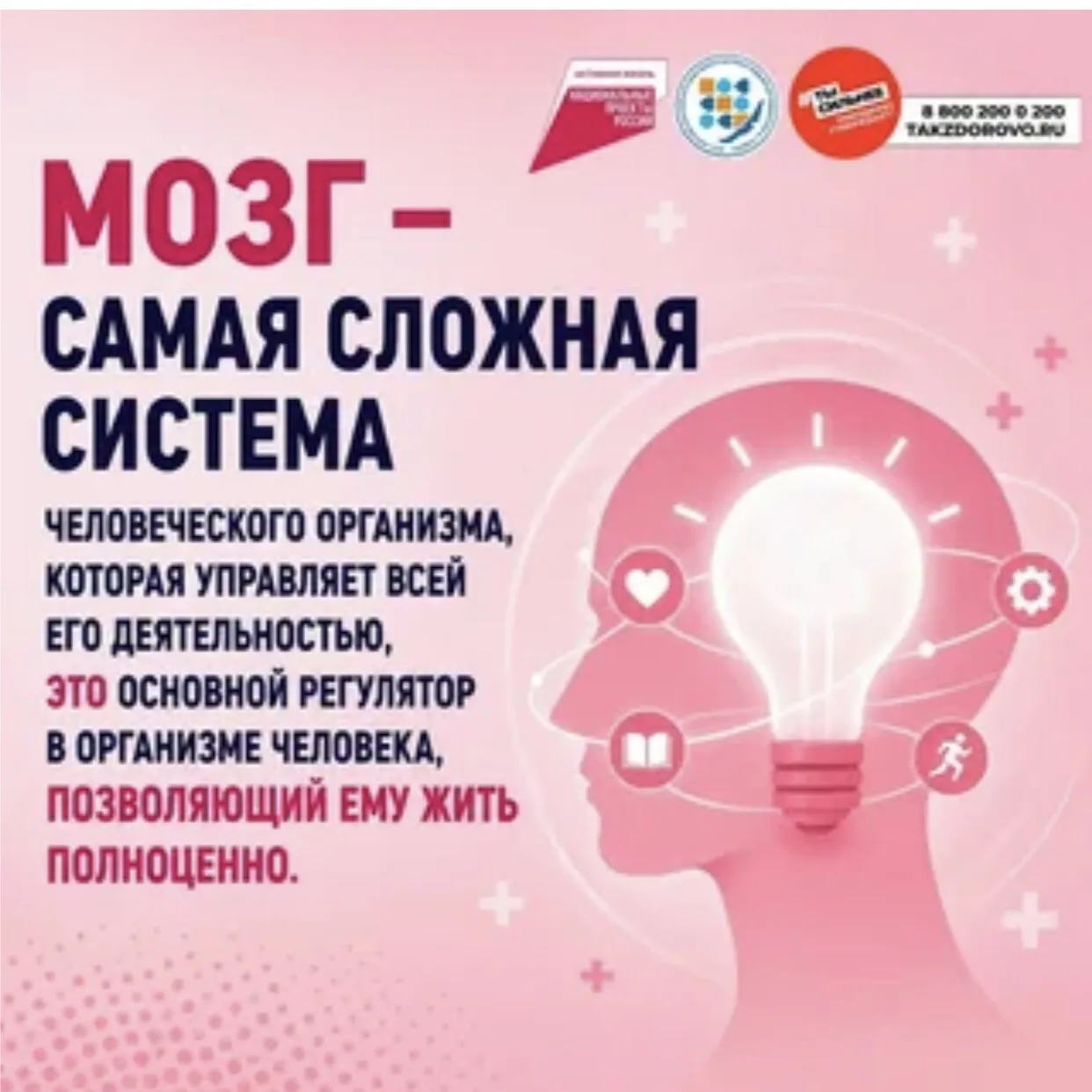 Хорошая новость: многие заболевания мозга (инсульт, деменция, болезнь Паркинсона) можно значительно 