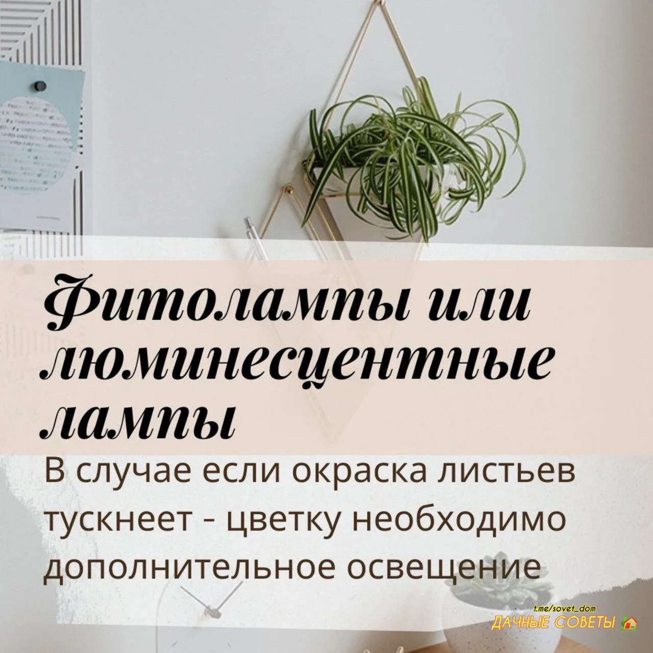 ❄️ Зима - непростое время для домашних растений: от батарей им становится сухо, а из-за...