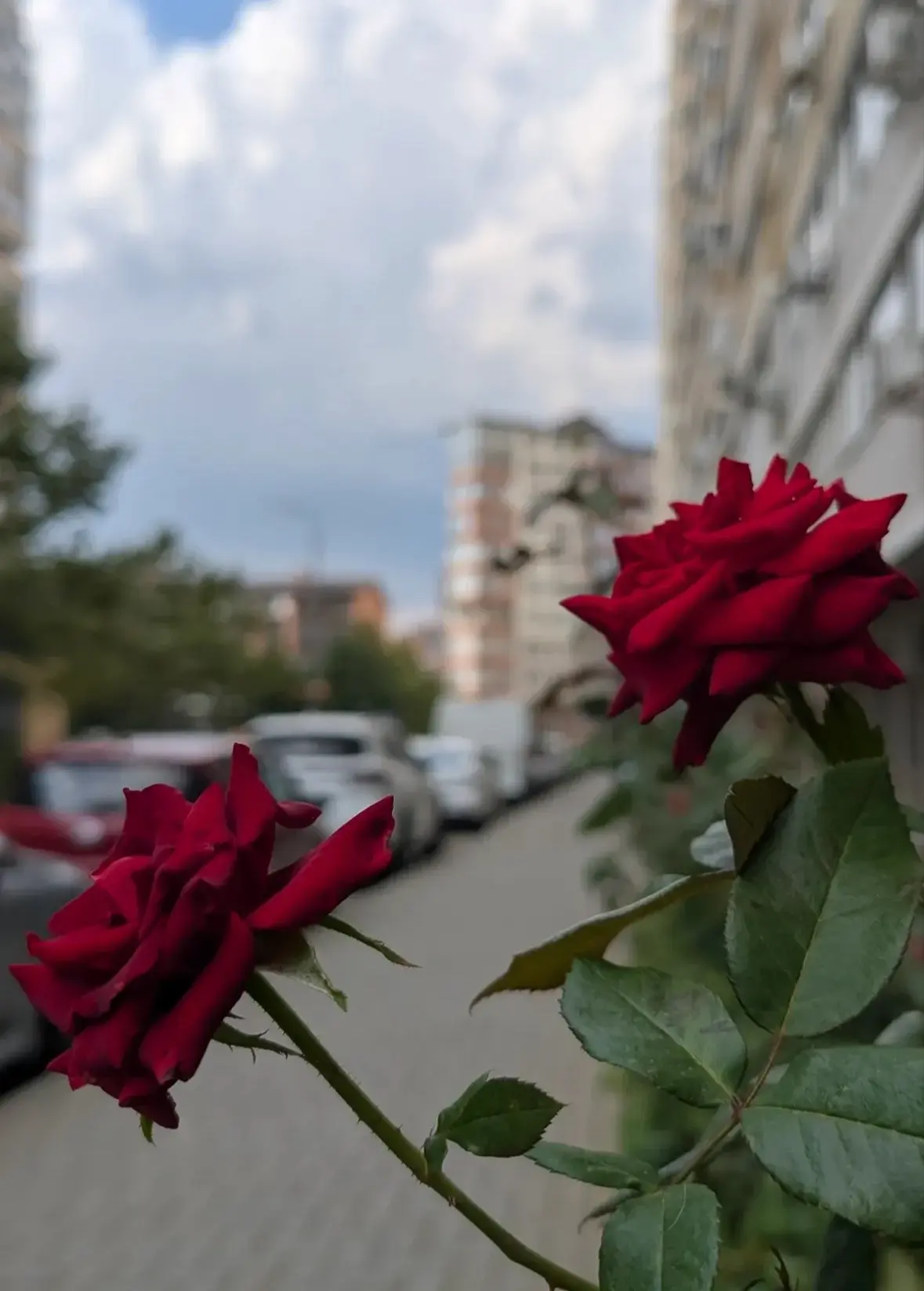 Доброе утро!
