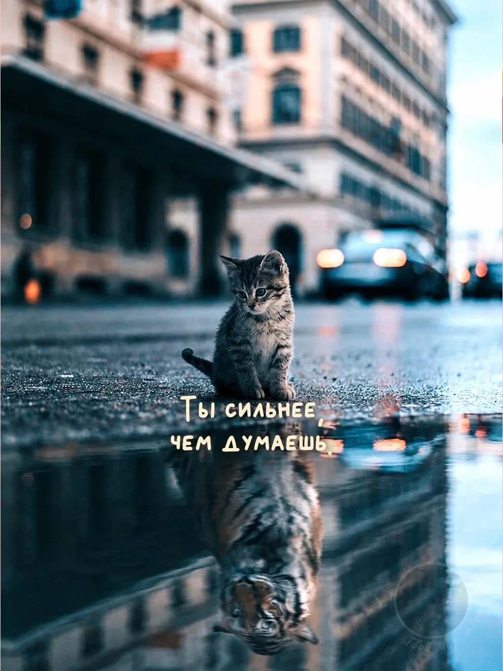 ❤Приятного дня, друзья