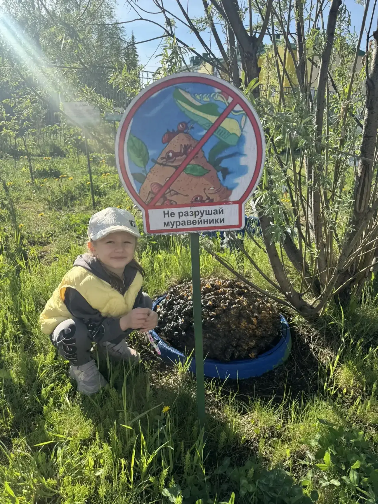 День эколога 🌳💧5 июня - профессиональный праздник специалистов, чья работа посвящена ...