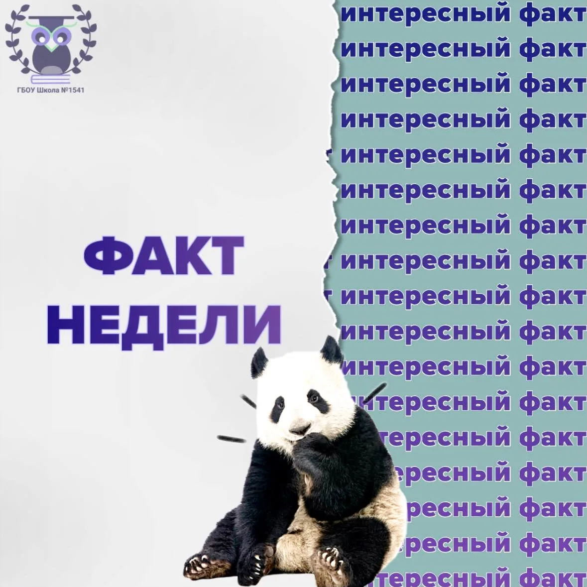 👀 ФАКТ НЕДЕЛИ

Самый простой способ отличить зверя-вегетарианца от хищника - обратить внимание на е
