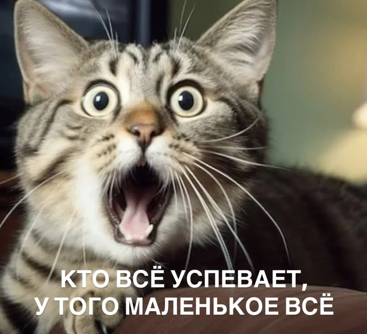 В жизнь помещается максимум 4 приоритета (два основных и два дополнительных), а в перио...