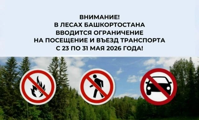 В лесах Башкортостана вводится ограничение на посещение и въезд транспорта с 23 по 31 мая