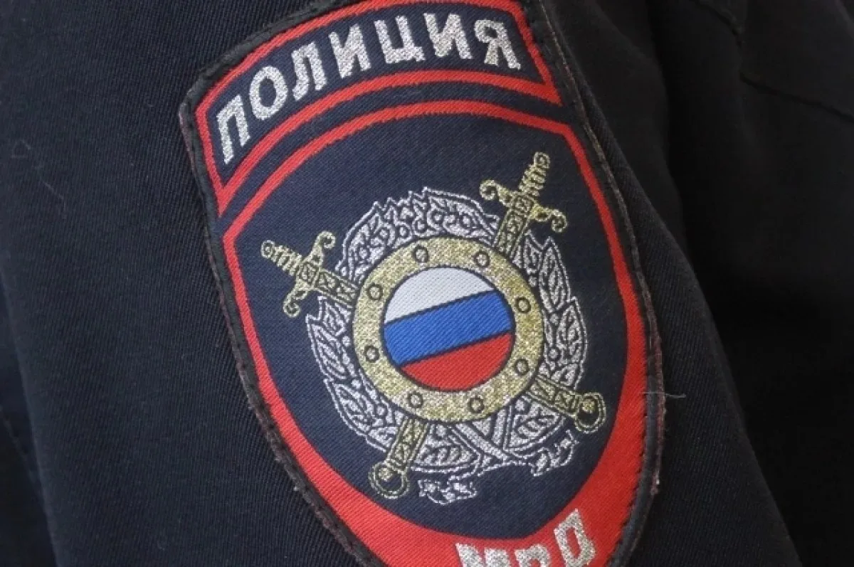 Двое ярославцев арестованы за грабеж с нападением на персонал