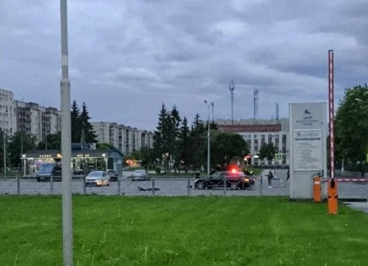 "Дтп с великом, Ромашка"