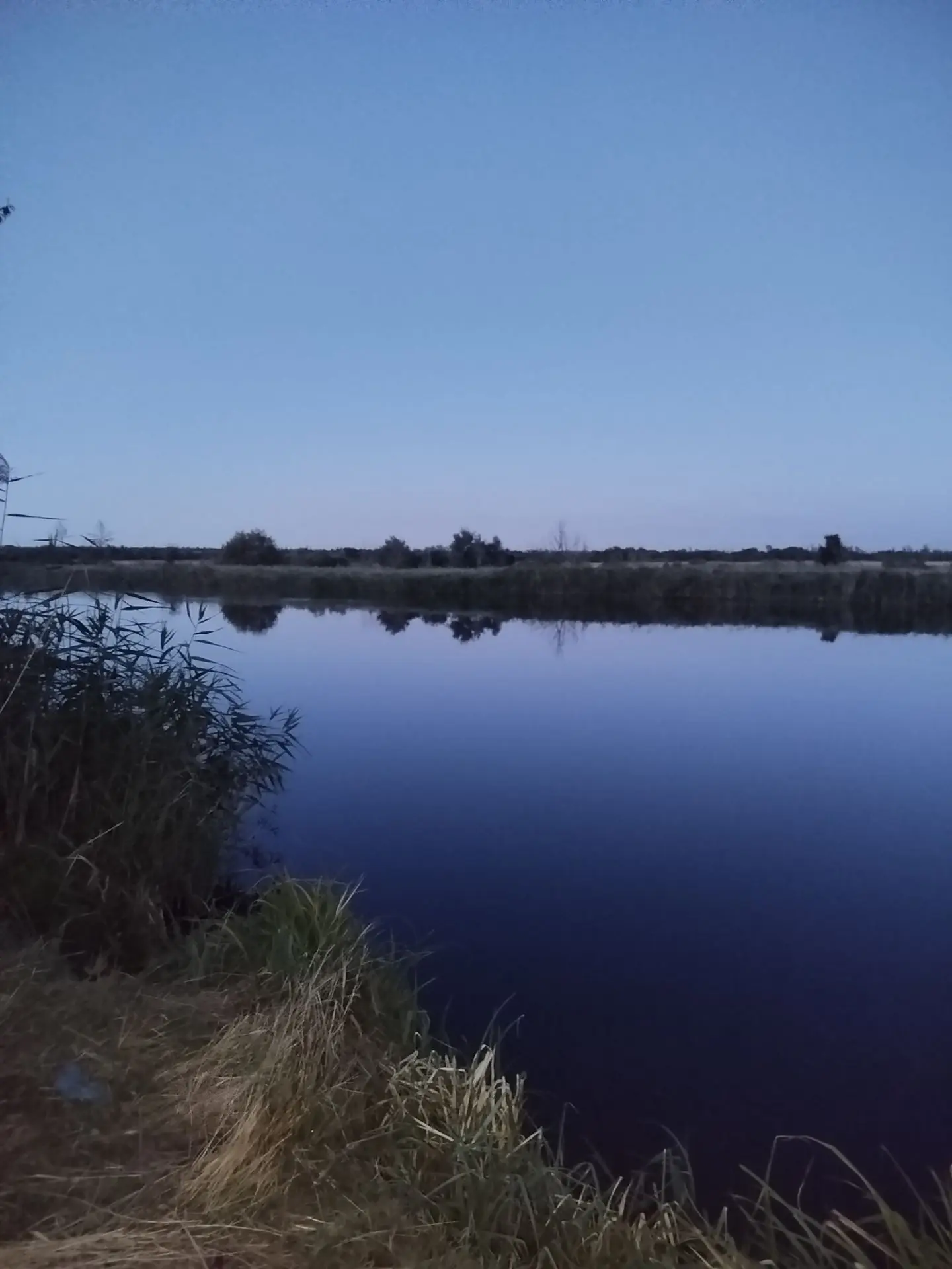 Добрый вечер, мои подписчики. Вечерняя красота нашего района 🌿🌿🌿.