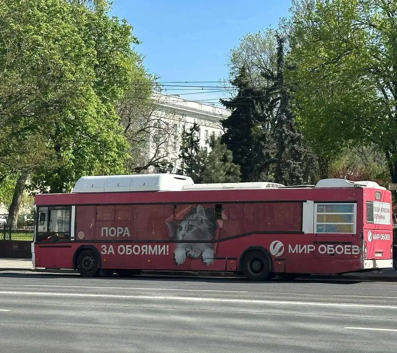 Изображение 2 к публикации «Ростов Папа|Ростов-на-Дону»
