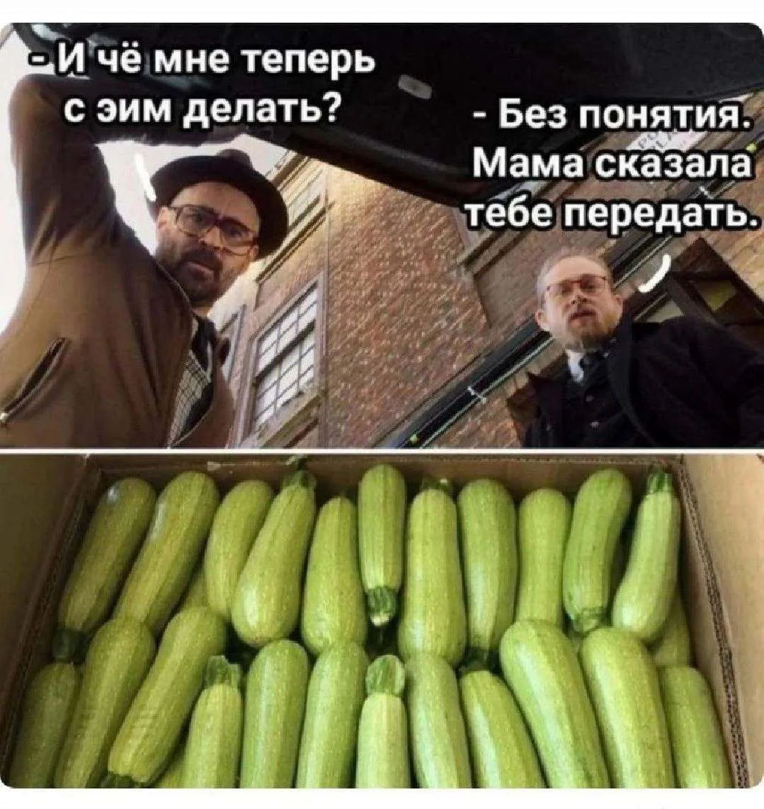 Как понять, что сезон кабачков официально начался? 🚨

1. Ваши коллеги начали приносить оладьи в офи