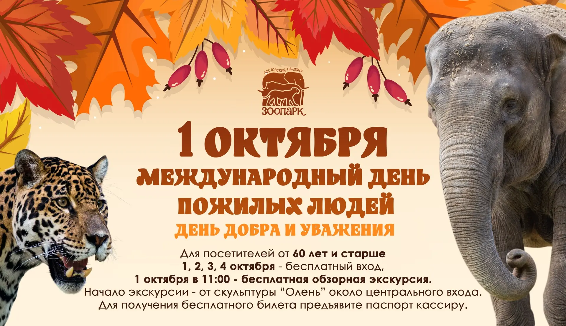 👵👴 Дорогие наши гости «серебряного» возраста!