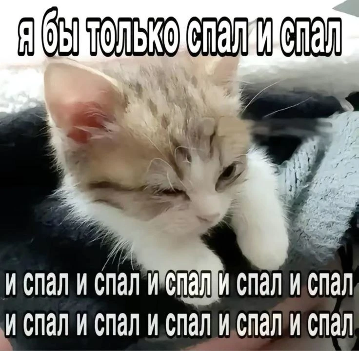 Вроде 11 часов сегодня проспала, но не выспалась 🥺

💸мой секрет успеха