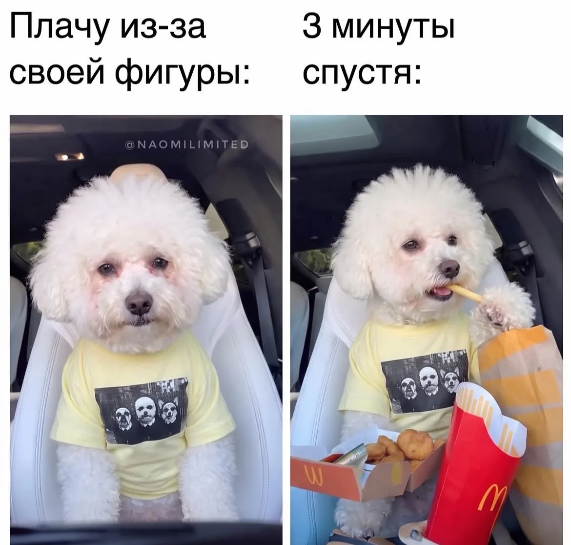 Тётя Фанни