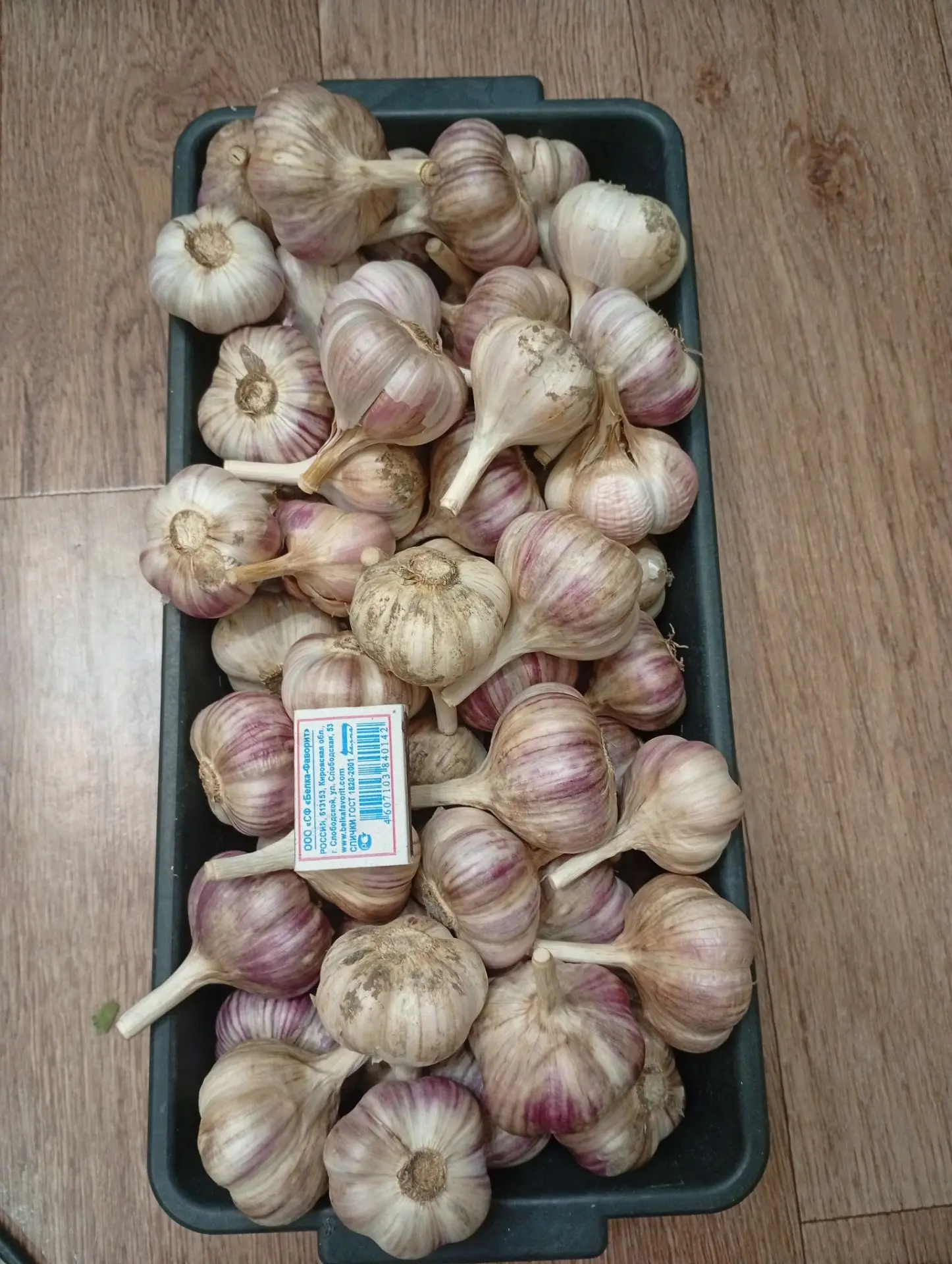 Чеснок 230 руб/кг. НЧК. Тел. 89176710025