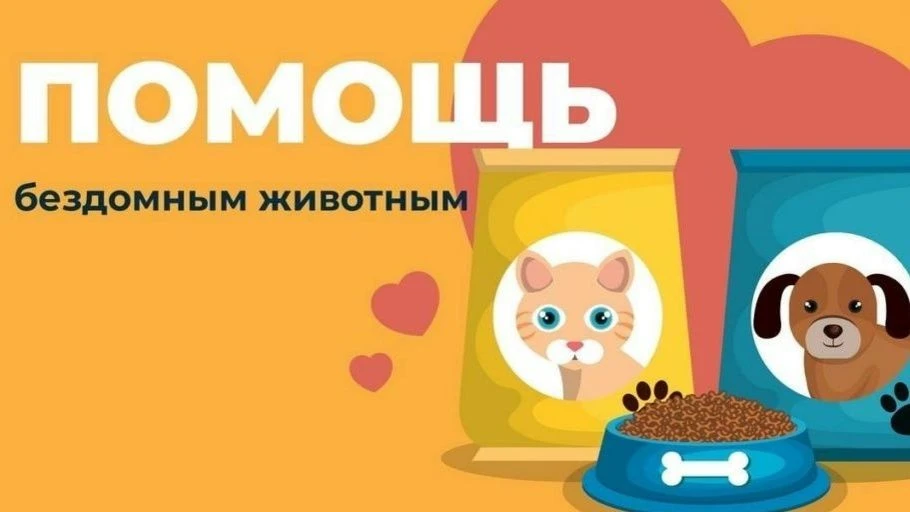 Поможем «Дому с хвостом» вместе!
