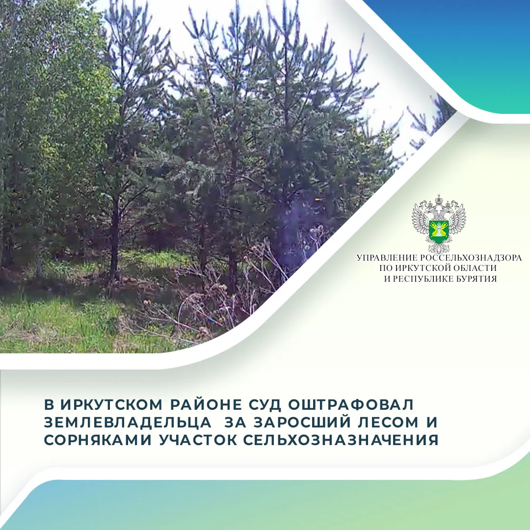 Мировой суд Иркутского района привлек к административной ответственности собственника з...