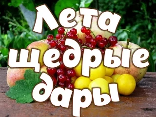 #МордовскийМуниципальныйОкруг