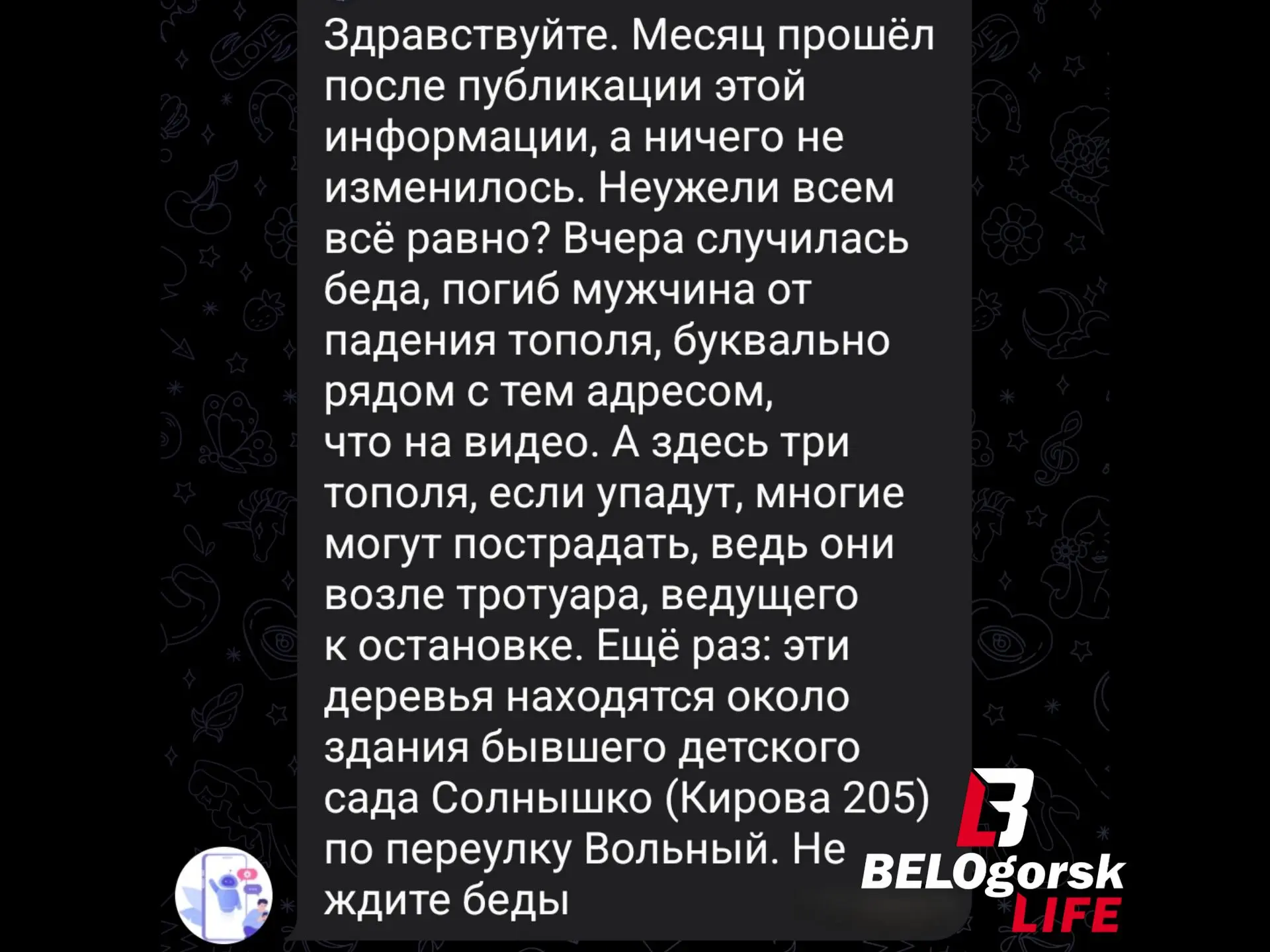 ❗️Беда всё-таки пришла: по сообщению от подписчицы, вчера после падения тополя в Белого...