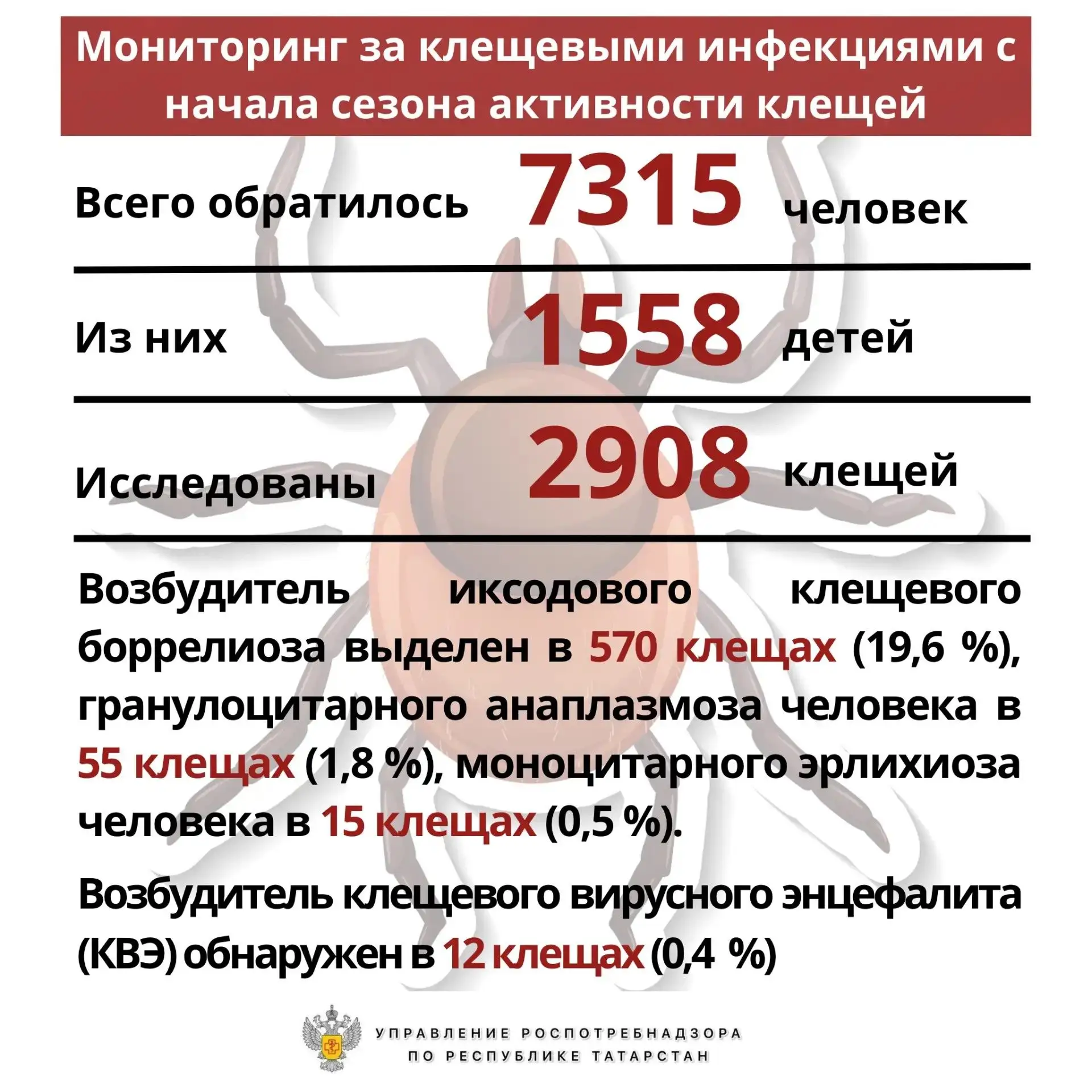 🕷 Управление информирует о еженедельном мониторинге за клещевыми инфекциями