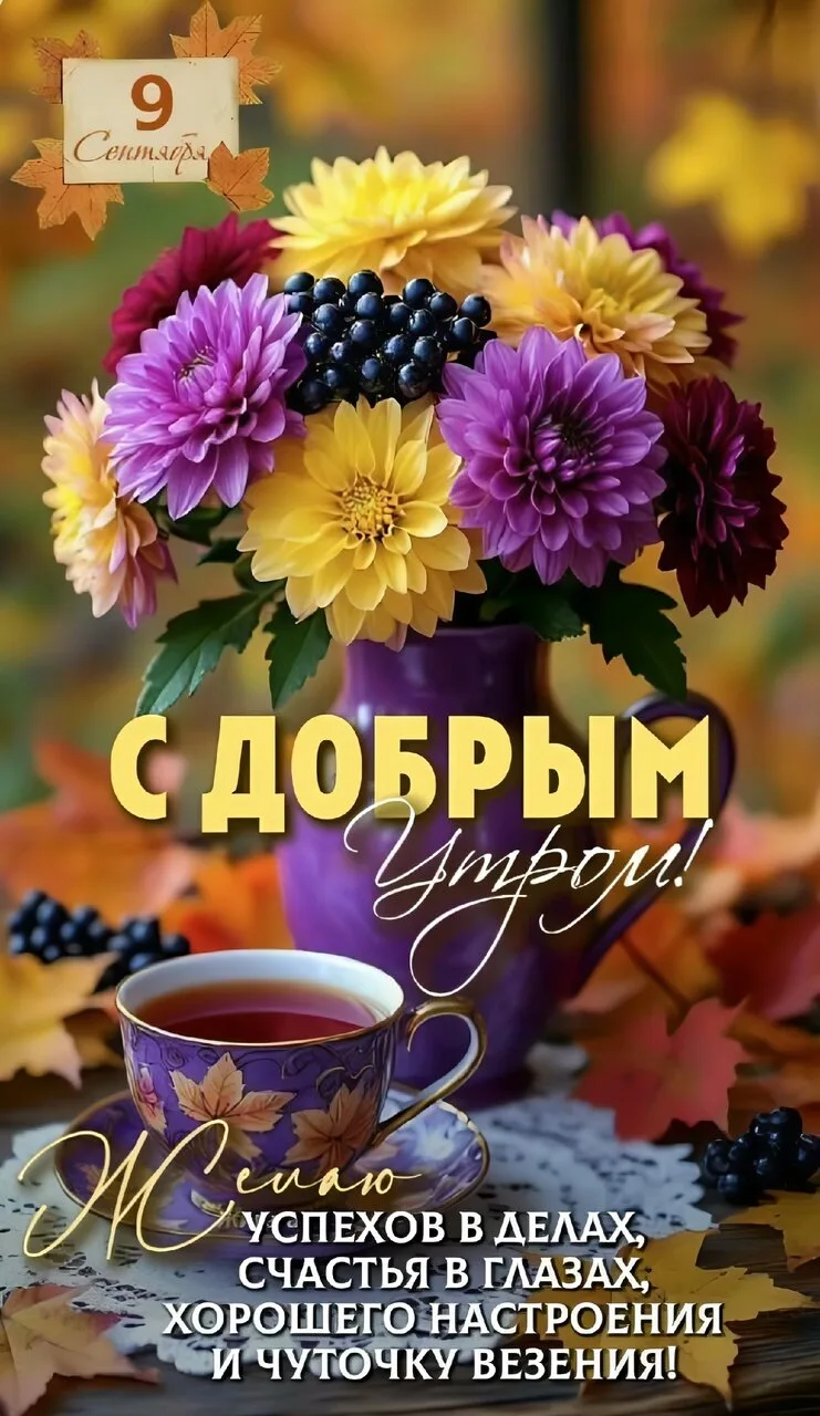Пересылай пост своим близким, ставь реакции и высказывайся! Спасибо тебе за подписку 🫶