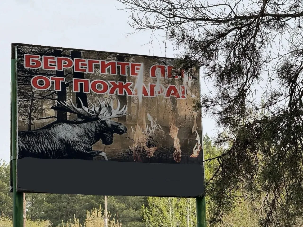 Ура! На даче разрешили жарить шашлыки — отменен особый противопожарный режим! Всё благодаря обильным