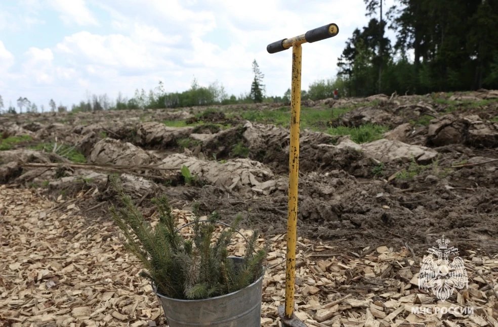 🌳Сотрудники МЧС России Подмосковья приняли участие в акции «Сад Памяти»  Московская область приняла 