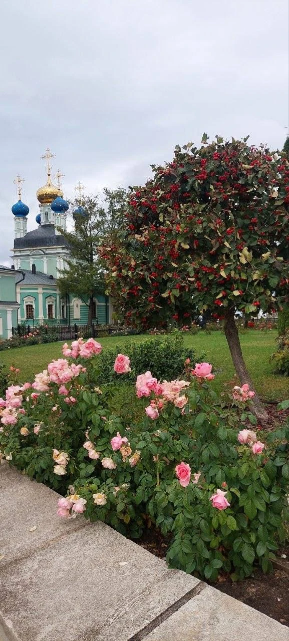 Доброе утро!