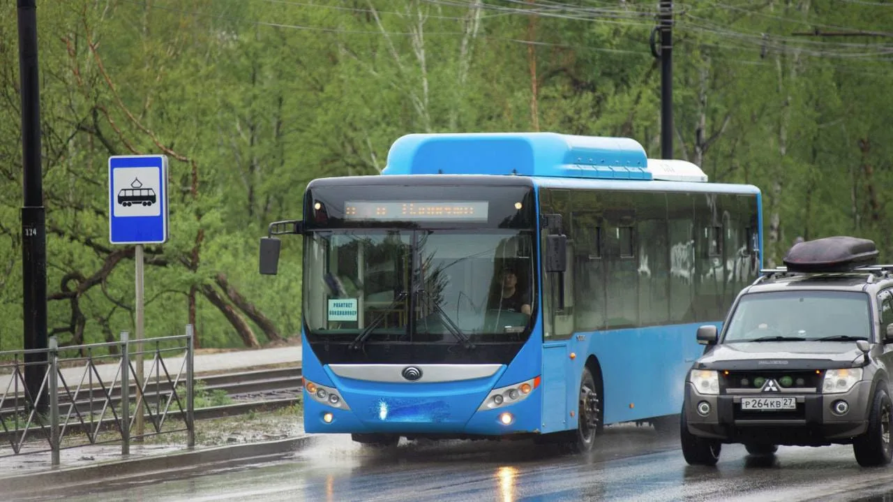Целых ЧЕТЫРЕ дня не выходили автобусы 29 и 34 — перевозчика лишили прав за безответственность 👏🏻


