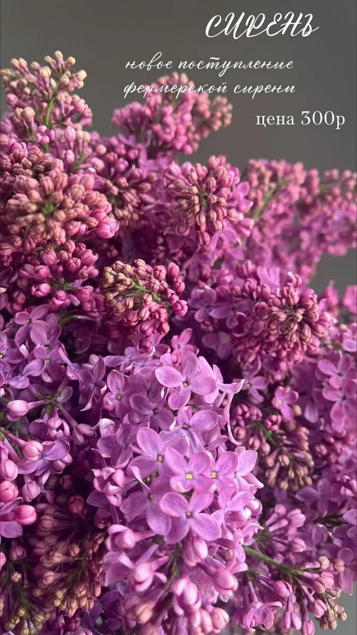 Свежее поступление уже на витрине 🌸