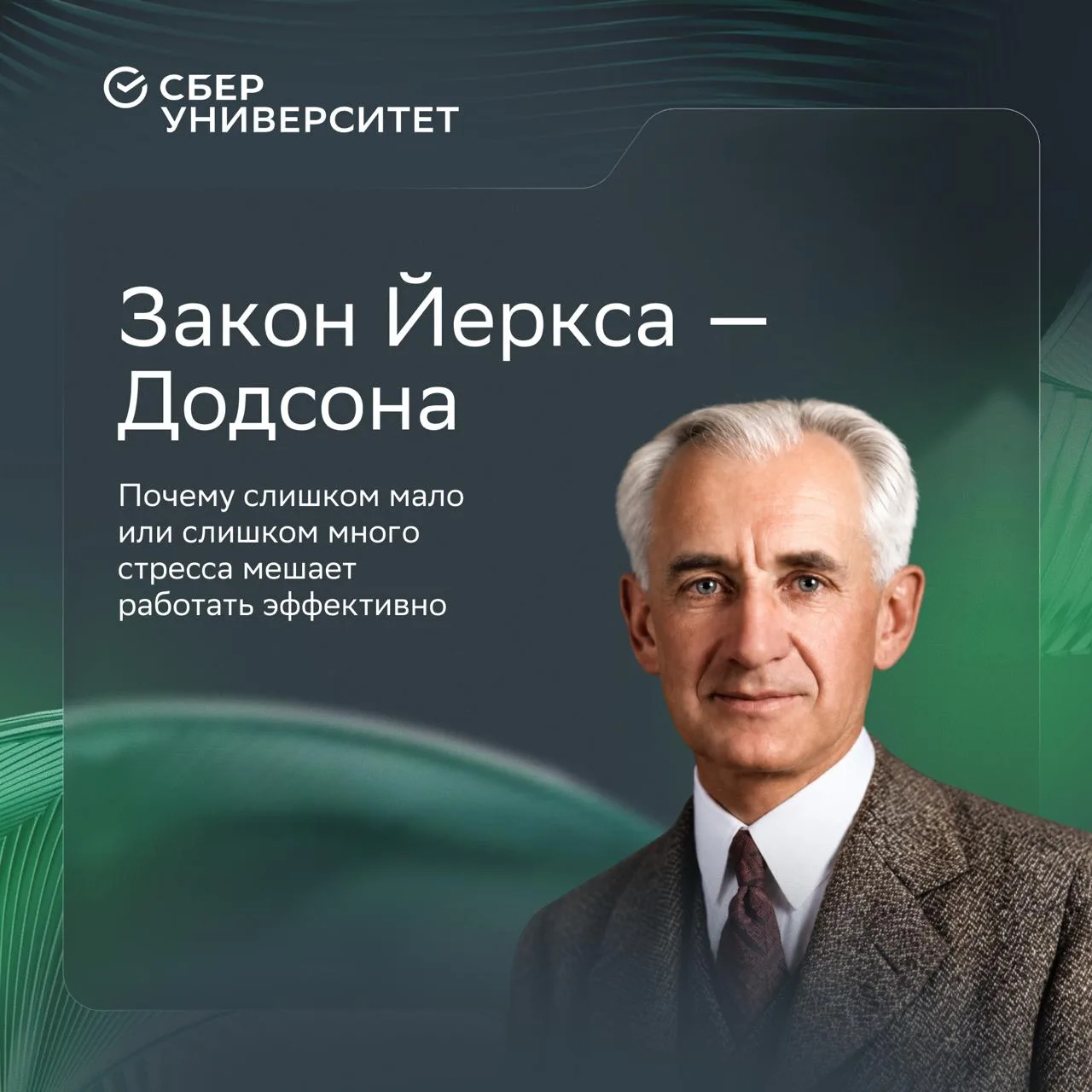 Что будет, если за сложную задачу пообещать человеку бонус размером в пять месячных зар...