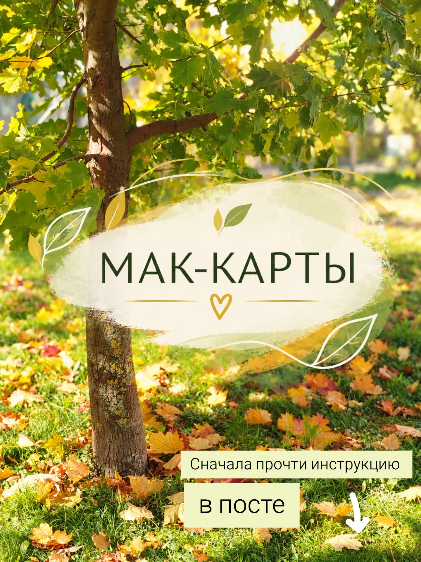 🖼 МАК-карты. Подсказка на неделю