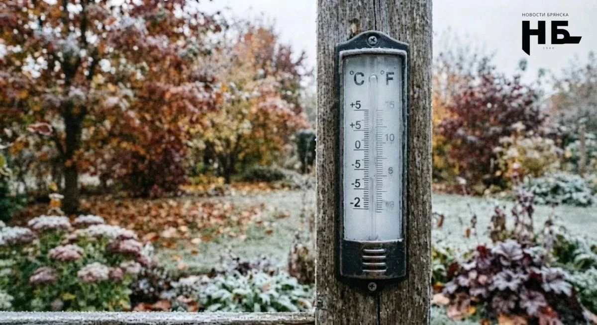 ▶️🥶 В Брянской области 2 октября ожидаются заморозки до -2°C