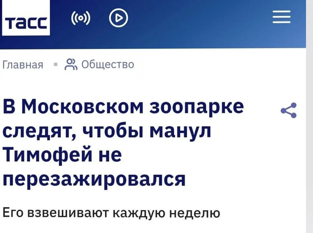 У меня такая же ситуация)