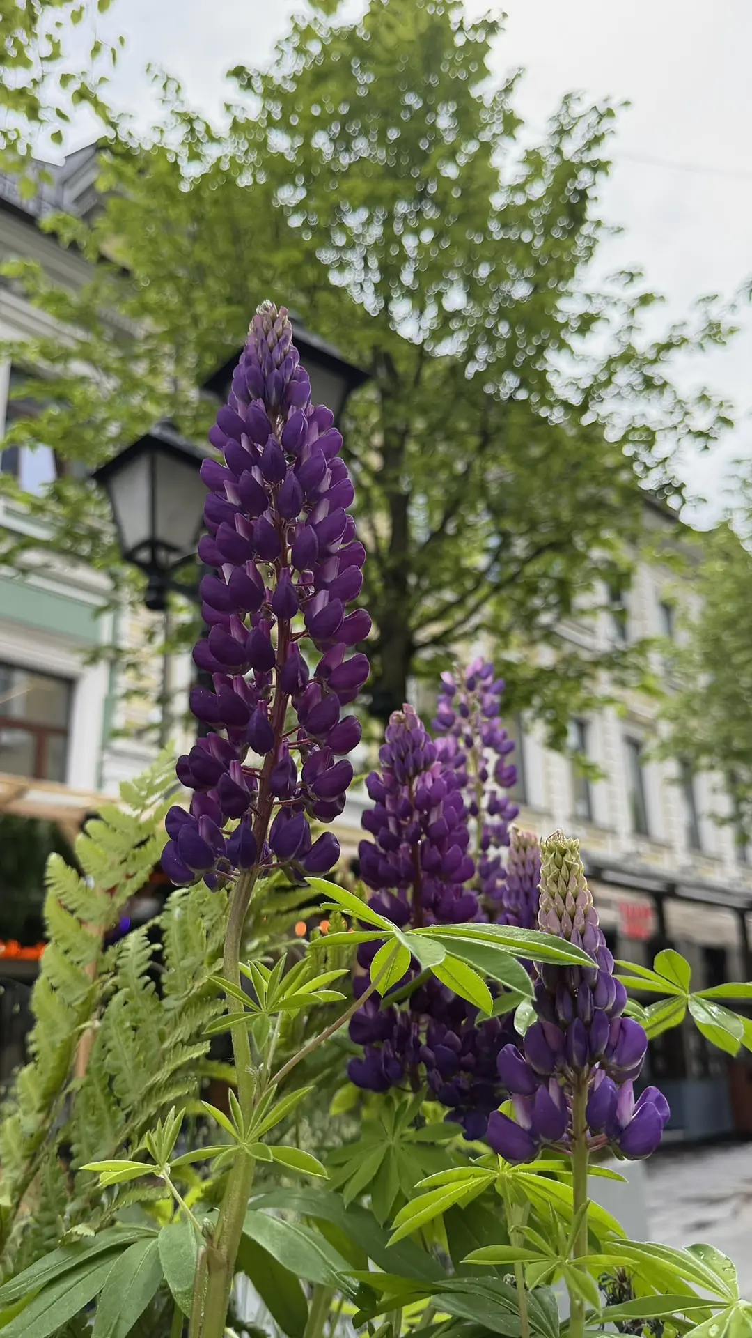 Среда, несмотря на дождик, прошла отлично 📸