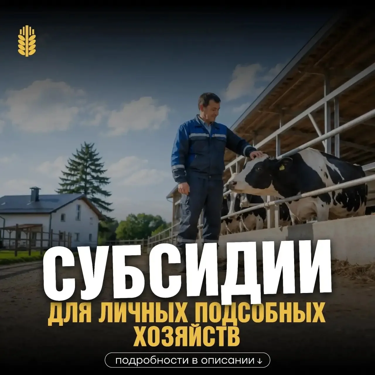 Минсельхозпрод РТ объявляет второй этап приема заявок на субсидии для ЛПХ